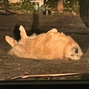 Meet your Posher, Emmanuel